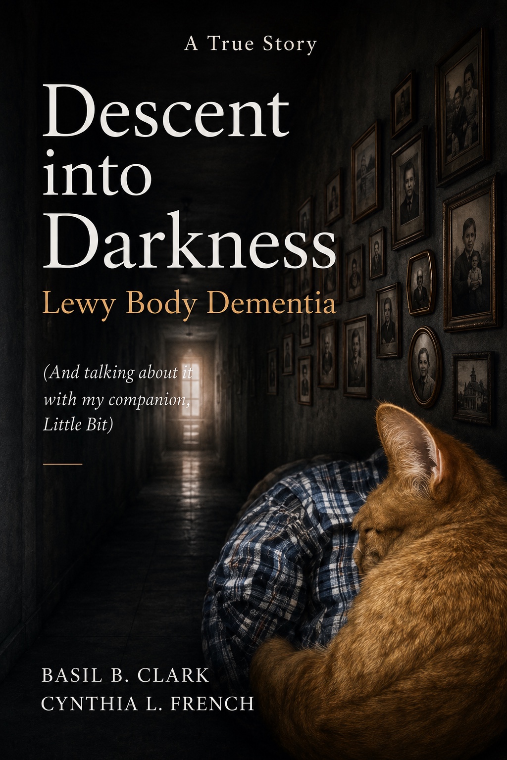 Descent into Darkness book cover
